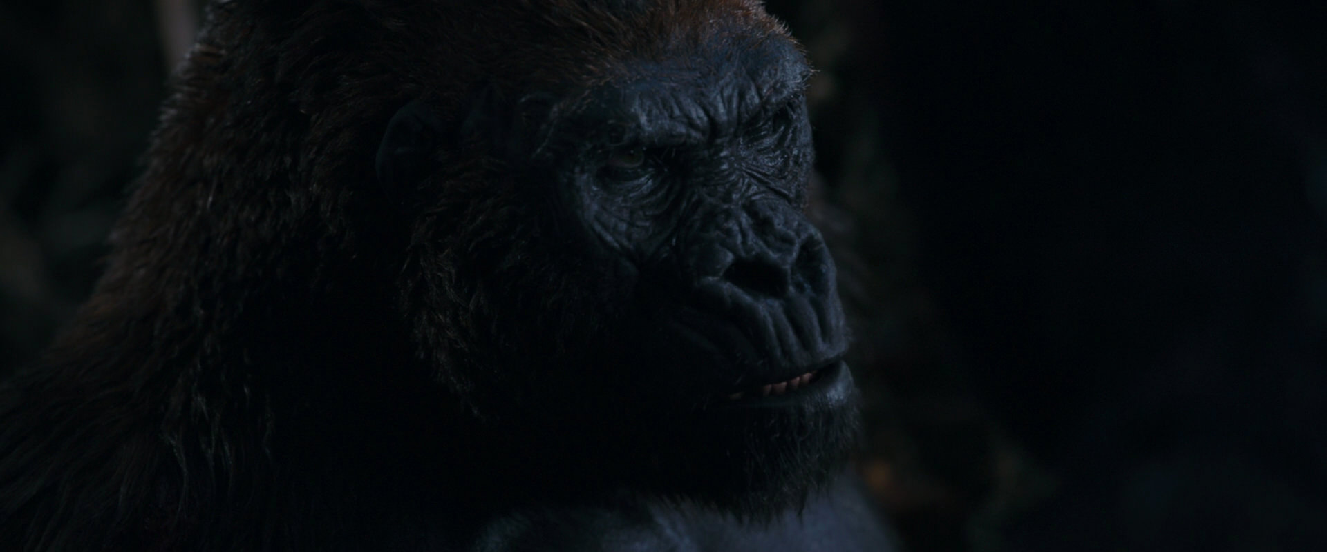 War for the Planet of the Apes (2017) screencap 1137