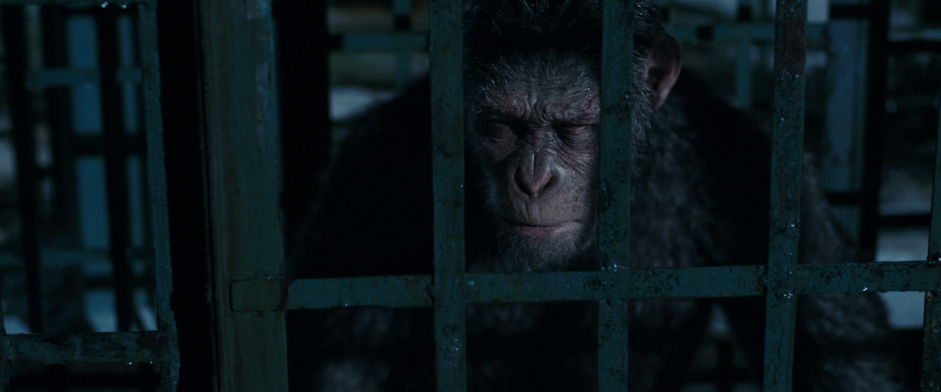 War for the Planet of the Apes (2017) screencap 11379