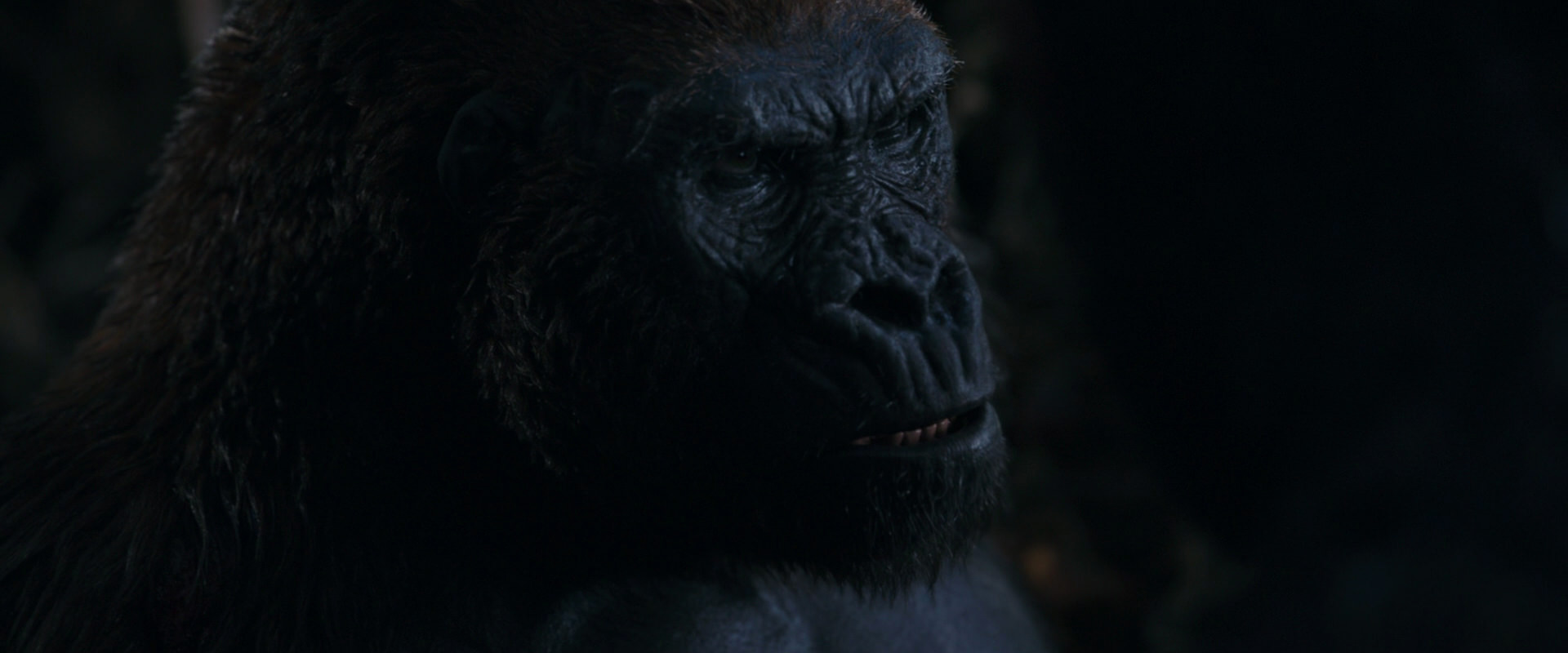 War for the Planet of the Apes (2017) movie still 1138