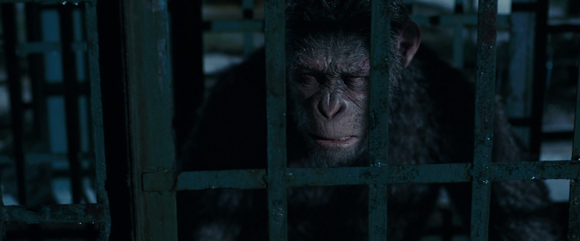 War for the Planet of the Apes (2017) movie still 11380