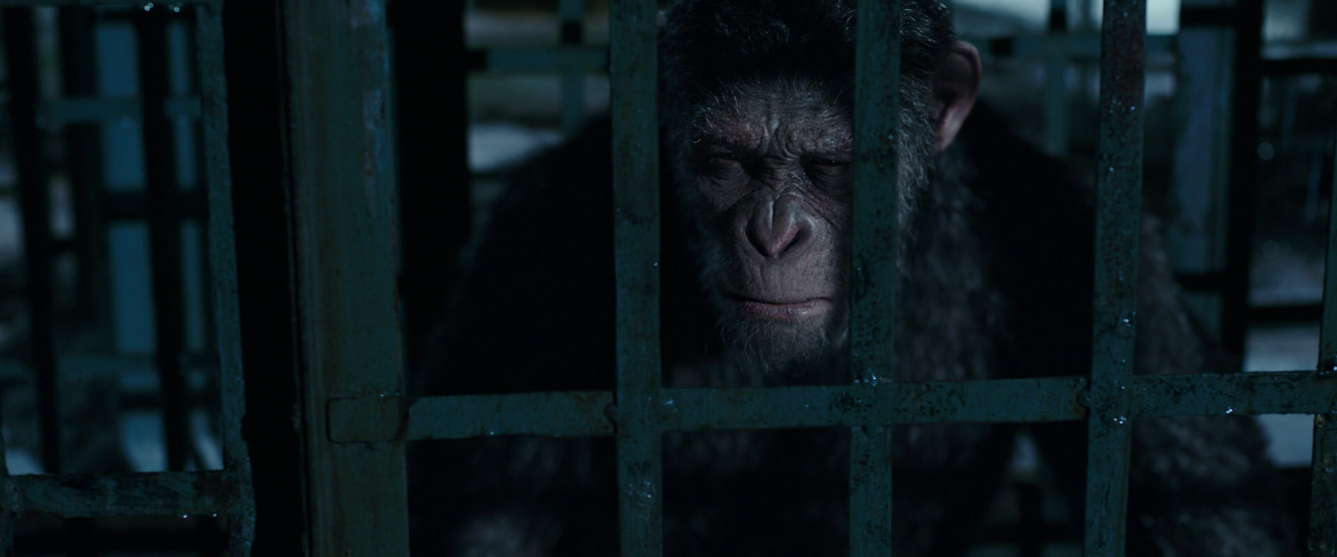 War for the Planet of the Apes (2017) HD screenshot 11381