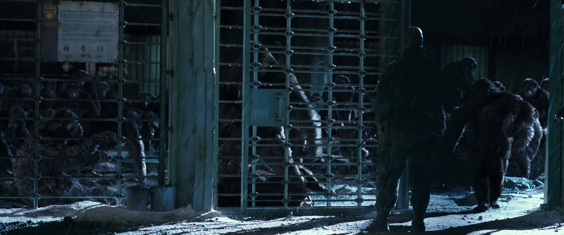 War for the Planet of the Apes (2017) screencap 11382