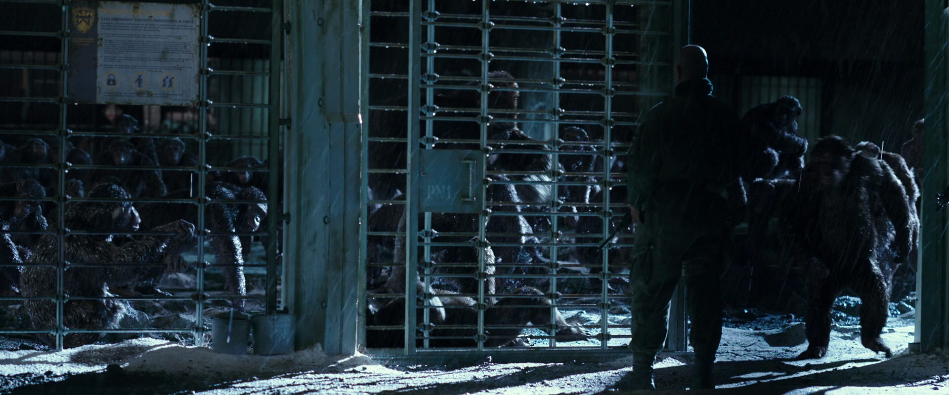 War for the Planet of the Apes (2017) movie still 11383