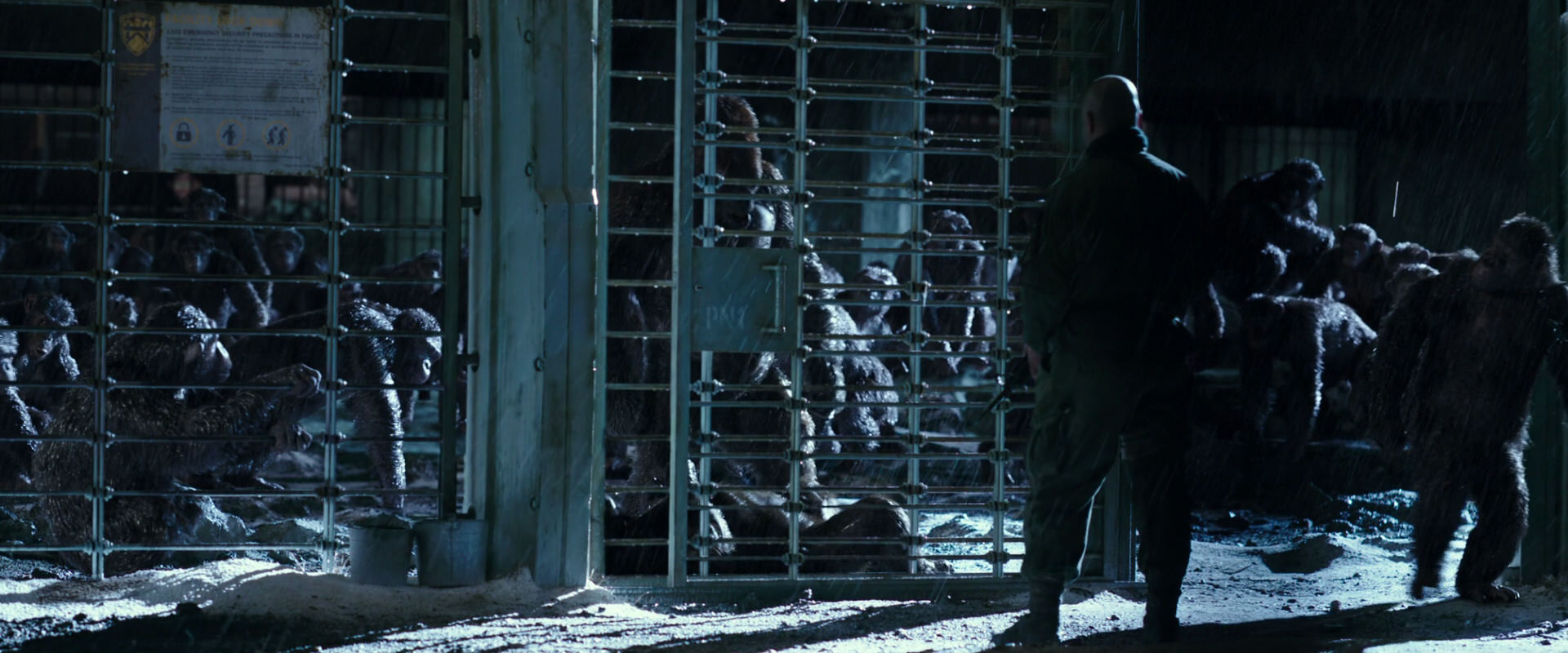 War for the Planet of the Apes (2017) HD screenshot 11384