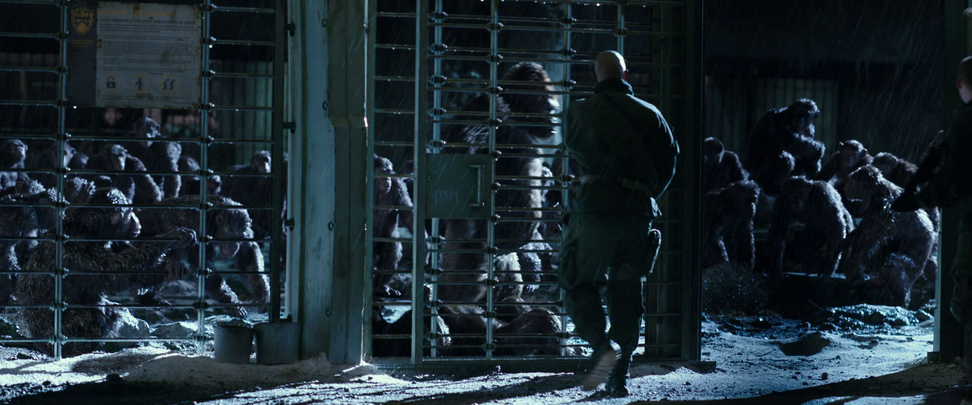 War for the Planet of the Apes (2017) movie still 11386