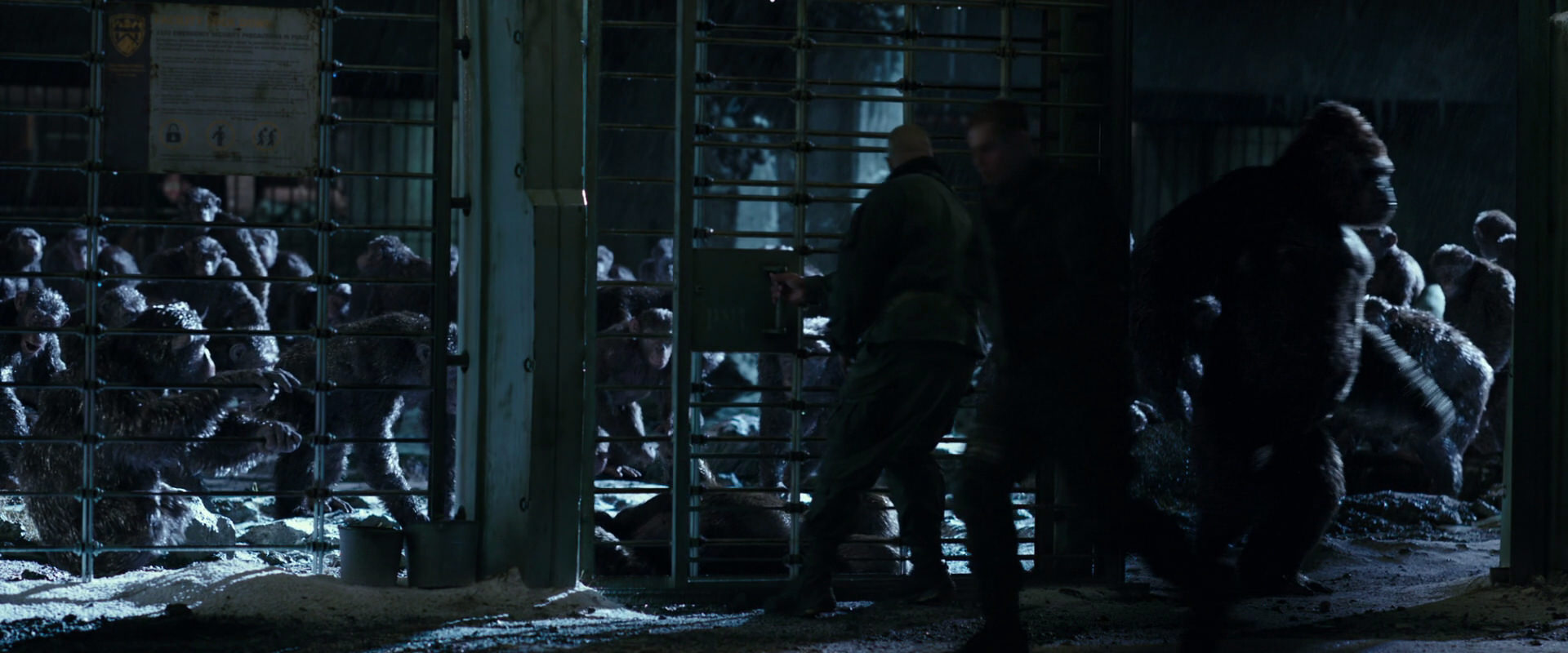 War for the Planet of the Apes (2017) movie still 11389