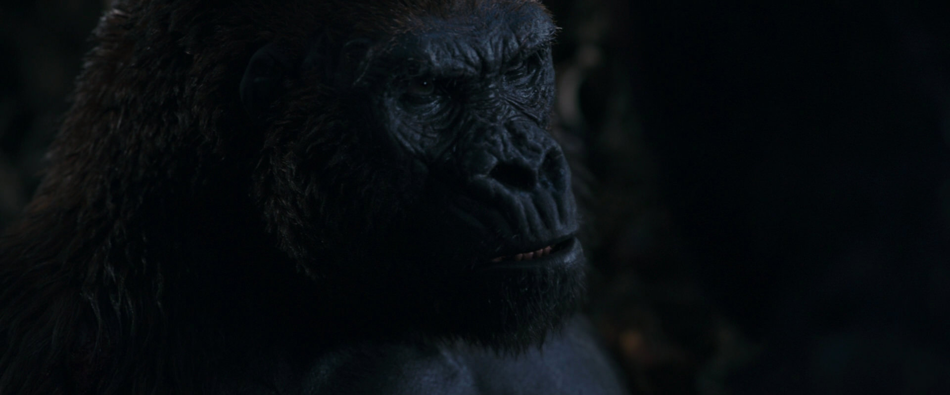War for the Planet of the Apes (2017) HD screenshot 1139