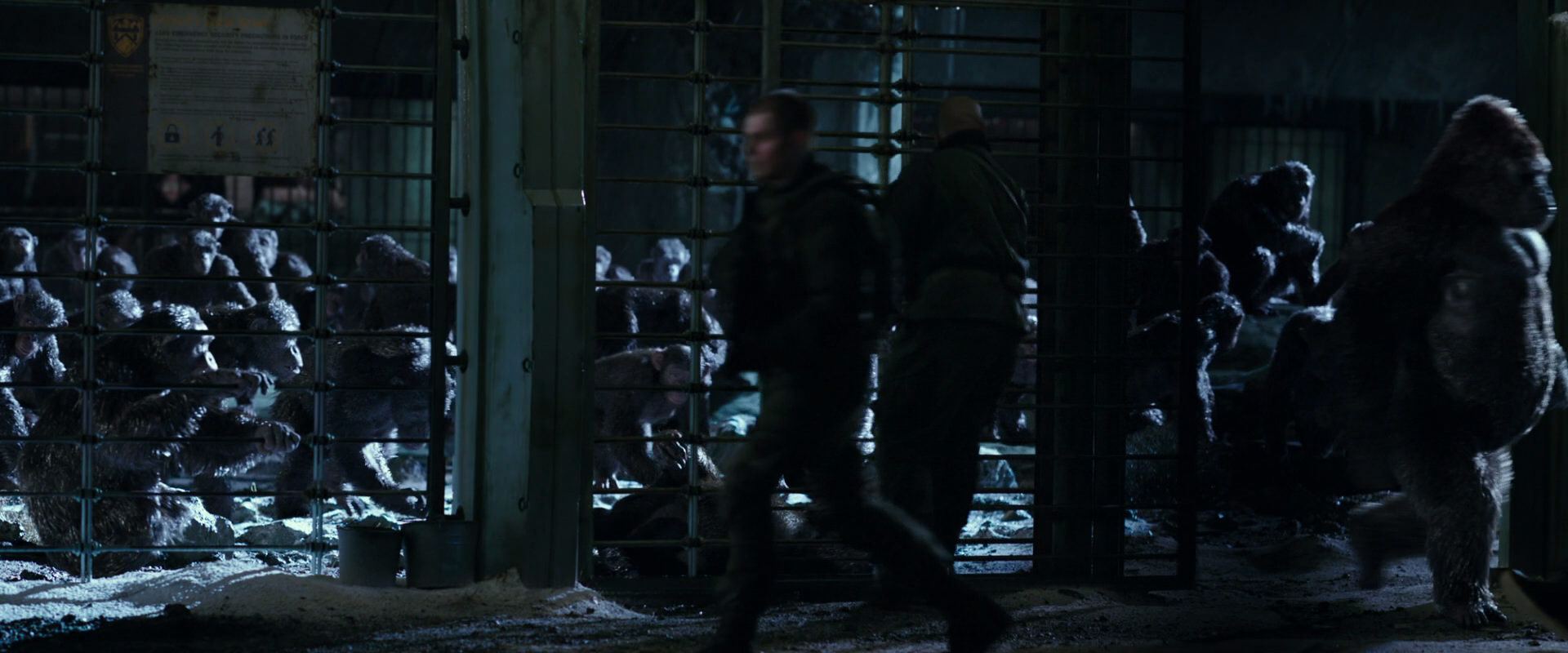 War for the Planet of the Apes (2017) HD screenshot 11390