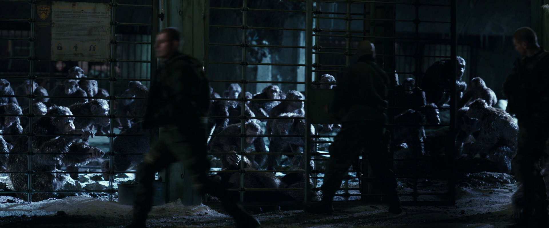 War for the Planet of the Apes (2017) screencap 11391