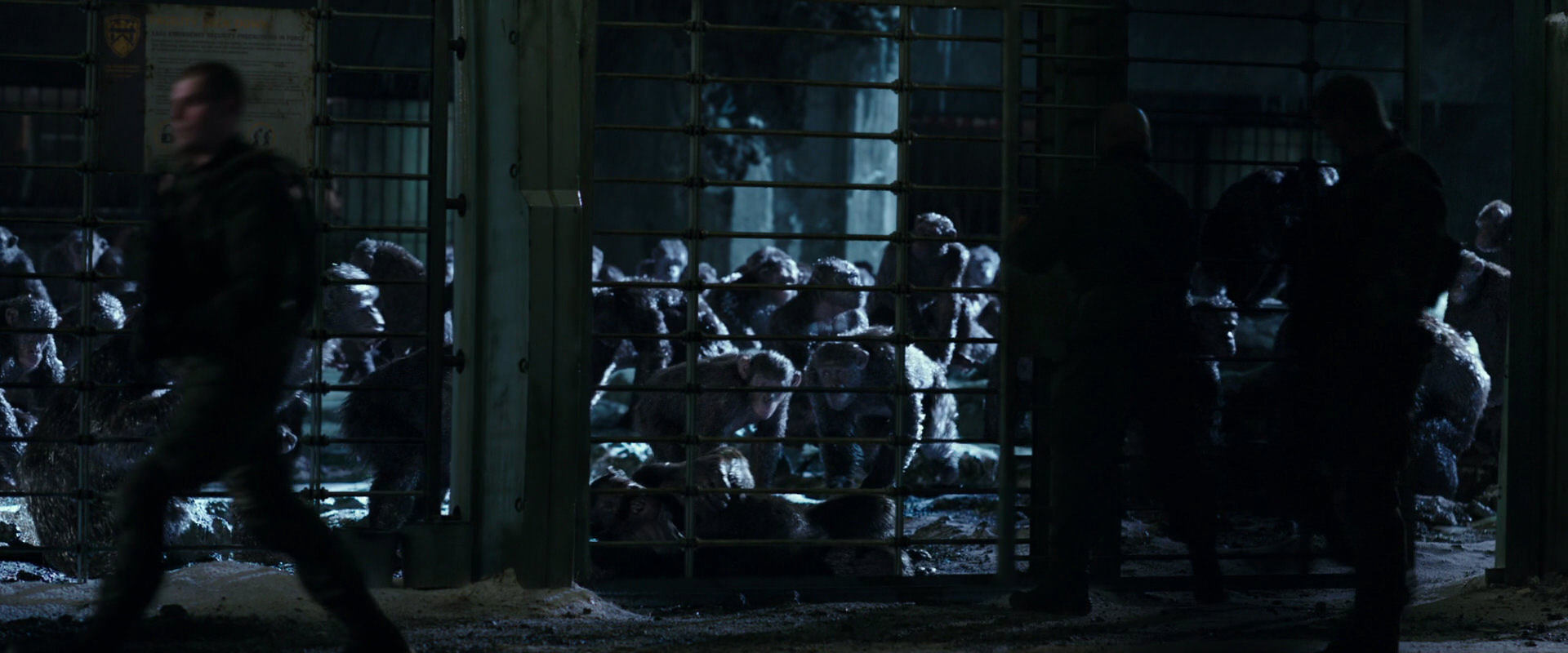 War for the Planet of the Apes (2017) movie still 11392