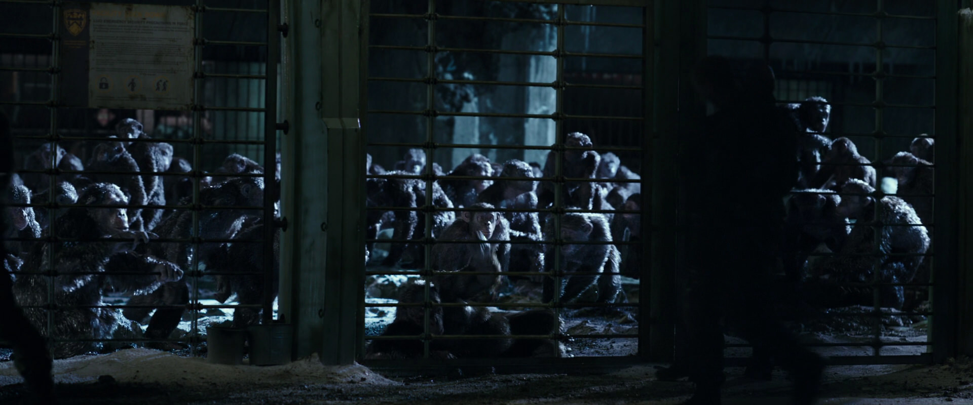 War for the Planet of the Apes (2017) HD screenshot 11393