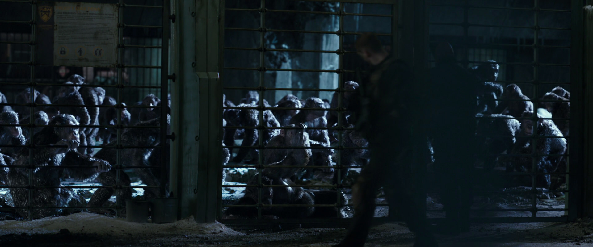 War for the Planet of the Apes (2017) screencap 11394