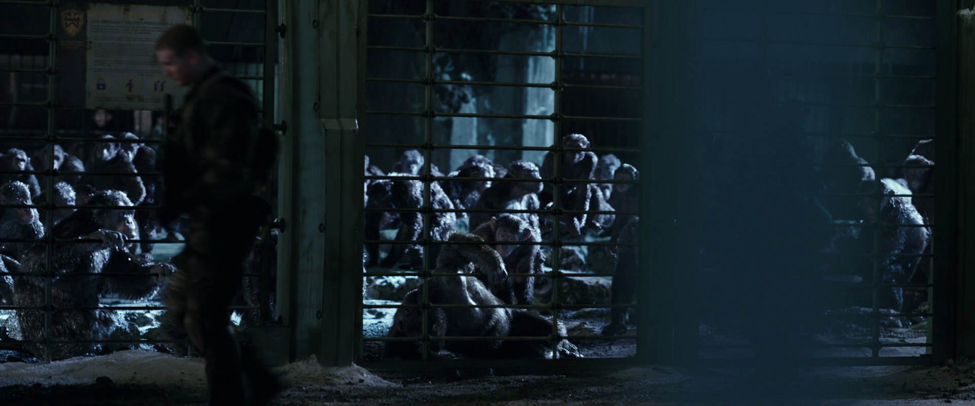 War for the Planet of the Apes (2017) screencap 11397