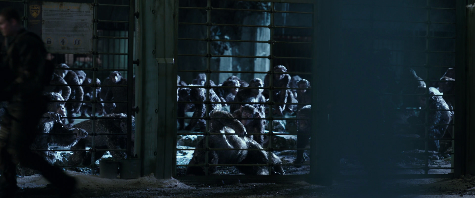 War for the Planet of the Apes (2017) movie still 11398