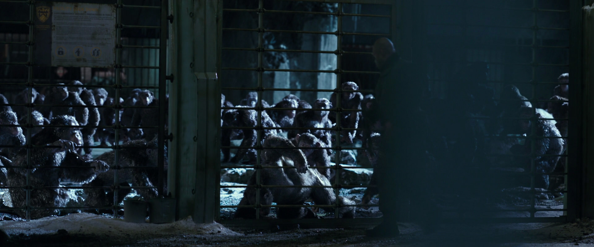 War for the Planet of the Apes (2017) HD screenshot 11399
