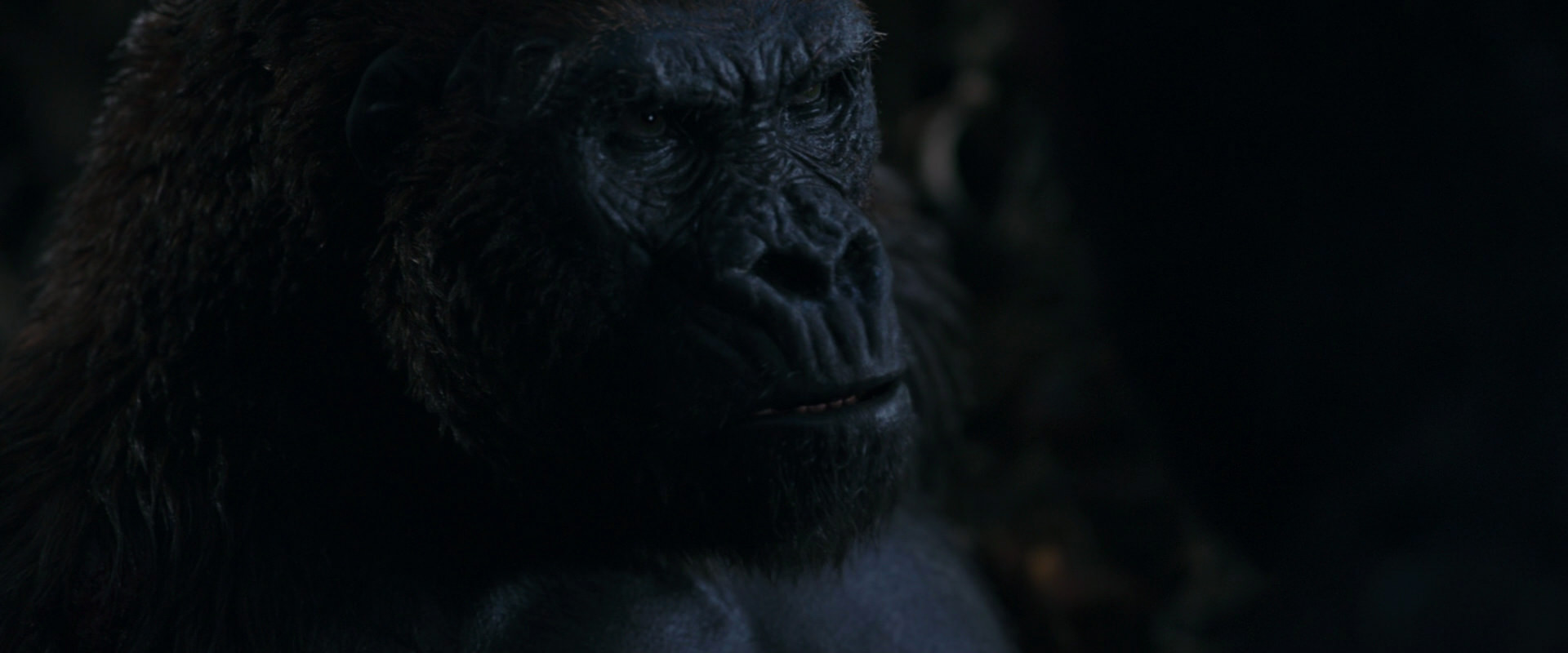 War for the Planet of the Apes (2017) screencap 1140