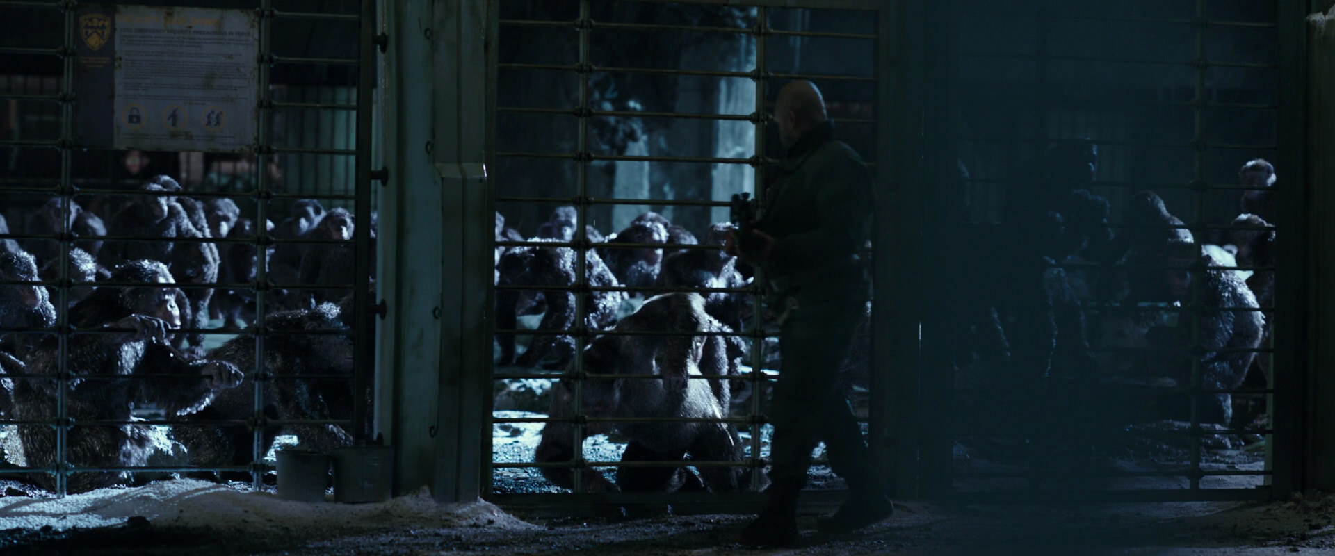 War for the Planet of the Apes (2017) screencap 11400