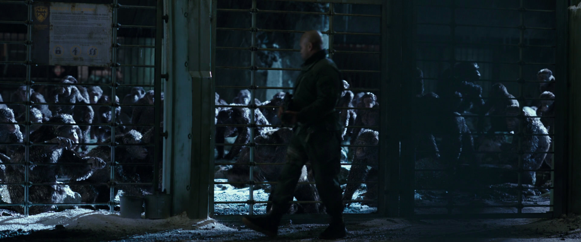 War for the Planet of the Apes (2017) movie still 11401