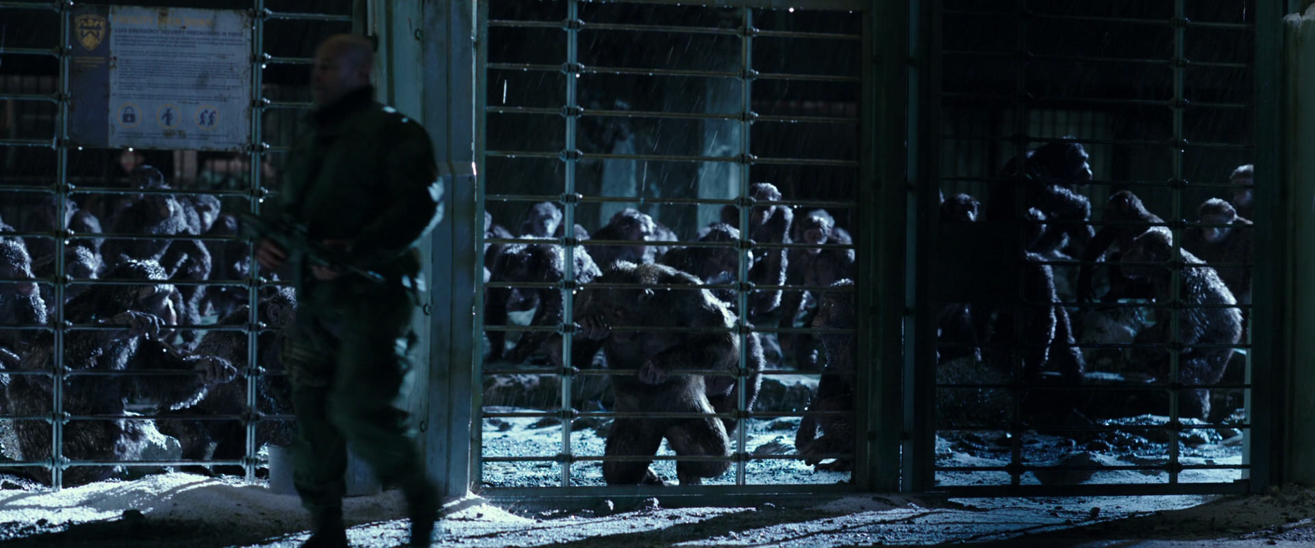 War for the Planet of the Apes (2017) movie still 11404
