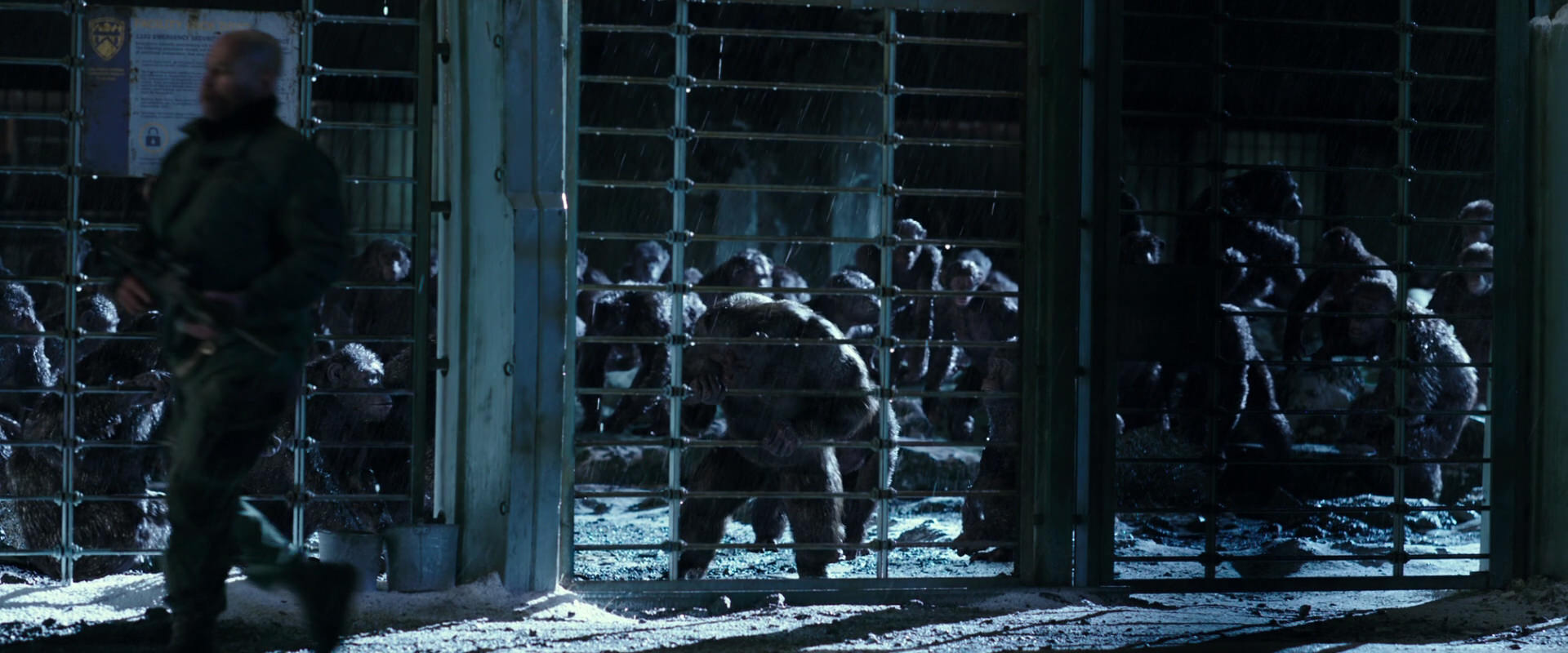 War for the Planet of the Apes (2017) HD screenshot 11405