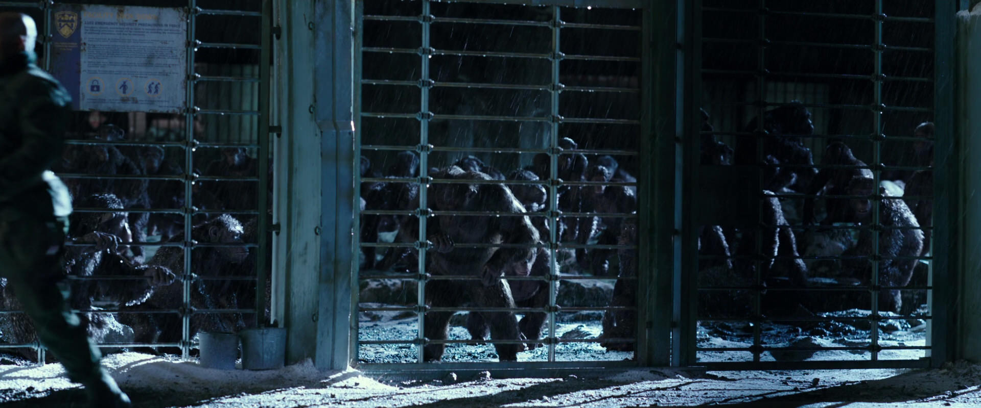 War for the Planet of the Apes (2017) screencap 11406