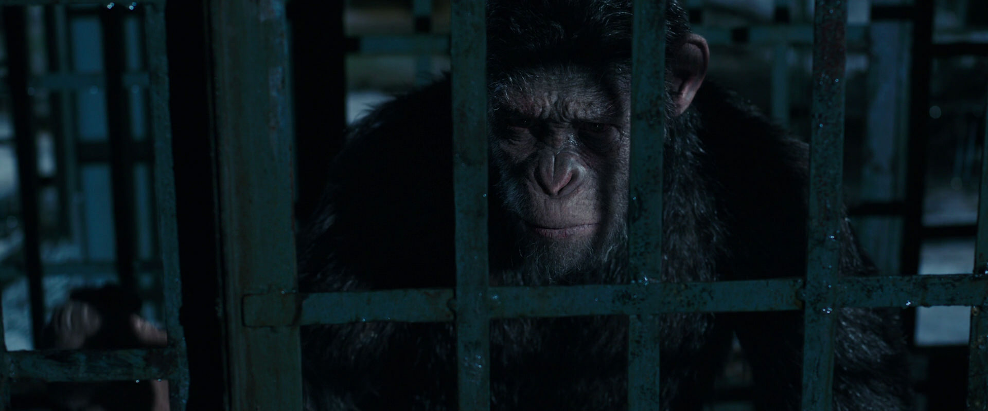 War for the Planet of the Apes (2017) movie still 11407