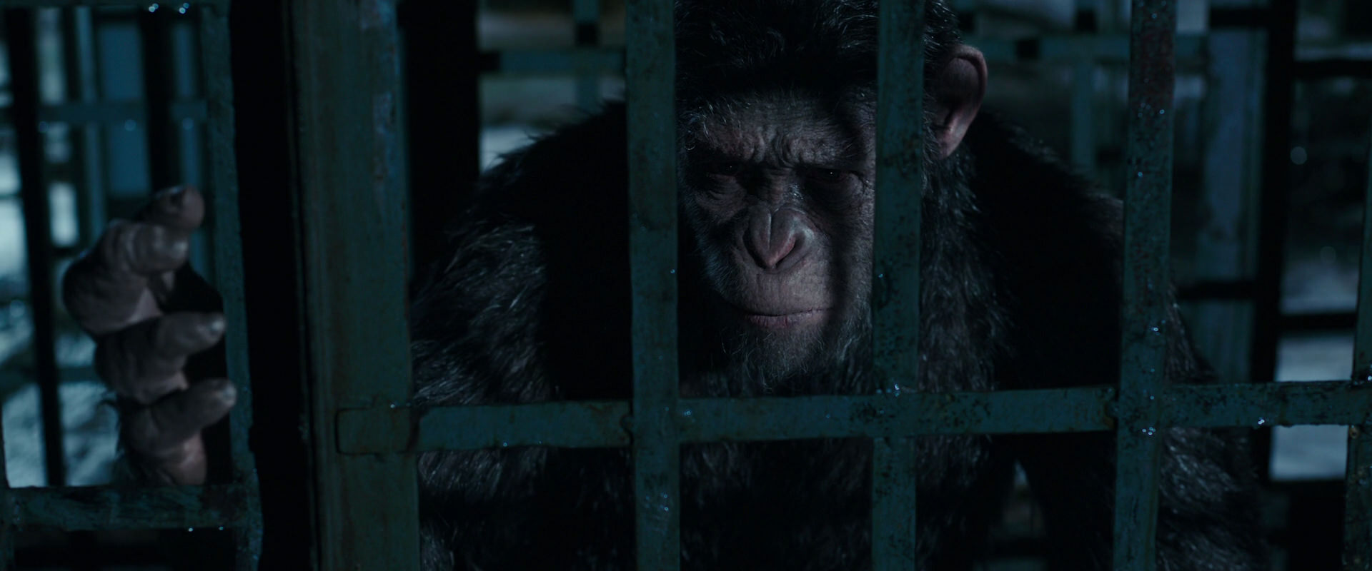 War for the Planet of the Apes (2017) HD screenshot 11408