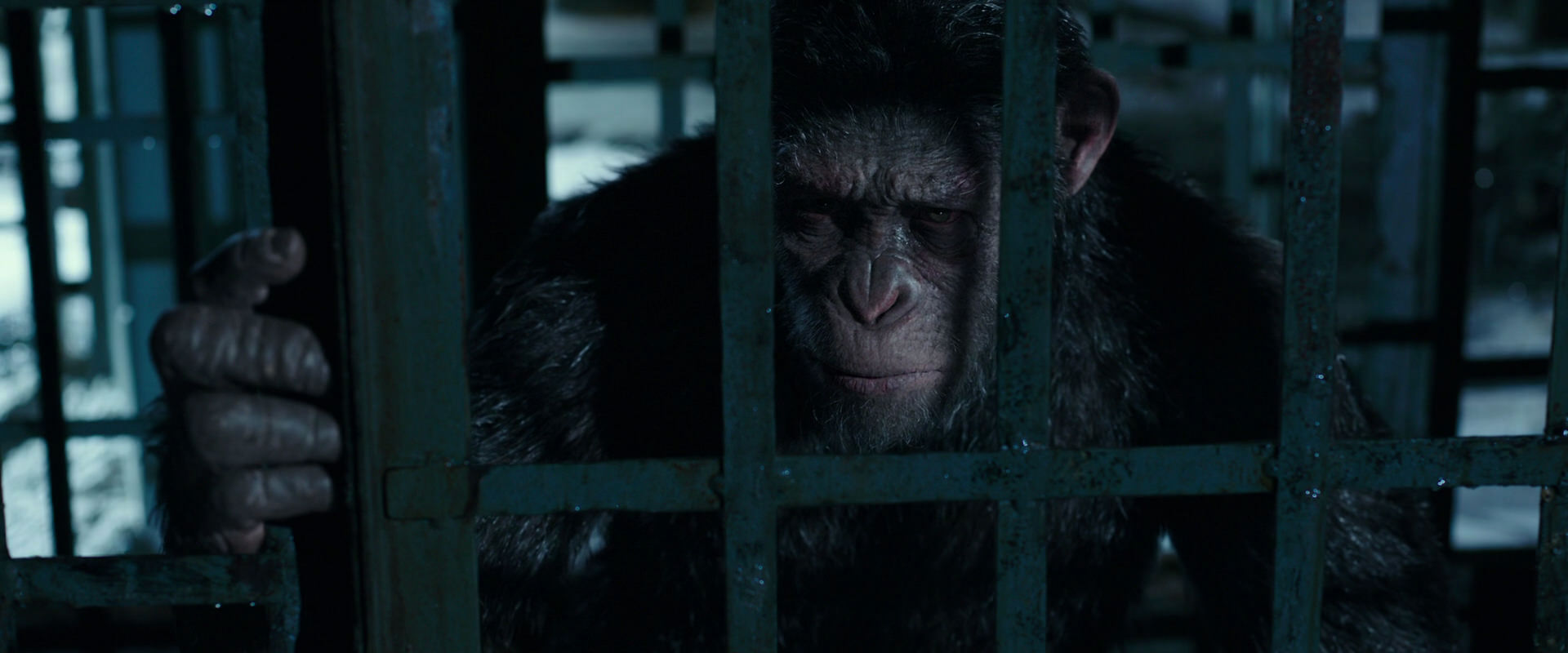 War for the Planet of the Apes (2017) screencap 11409