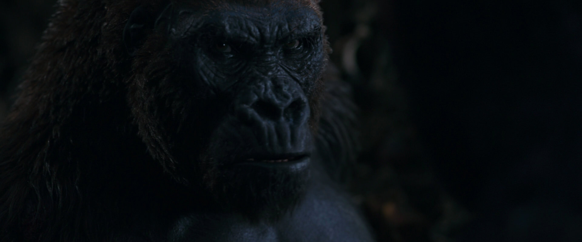 War for the Planet of the Apes (2017) movie still 1141
