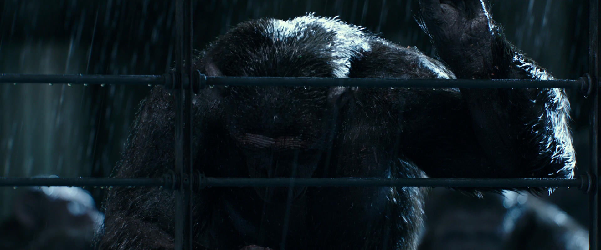 War for the Planet of the Apes (2017) movie still 11410
