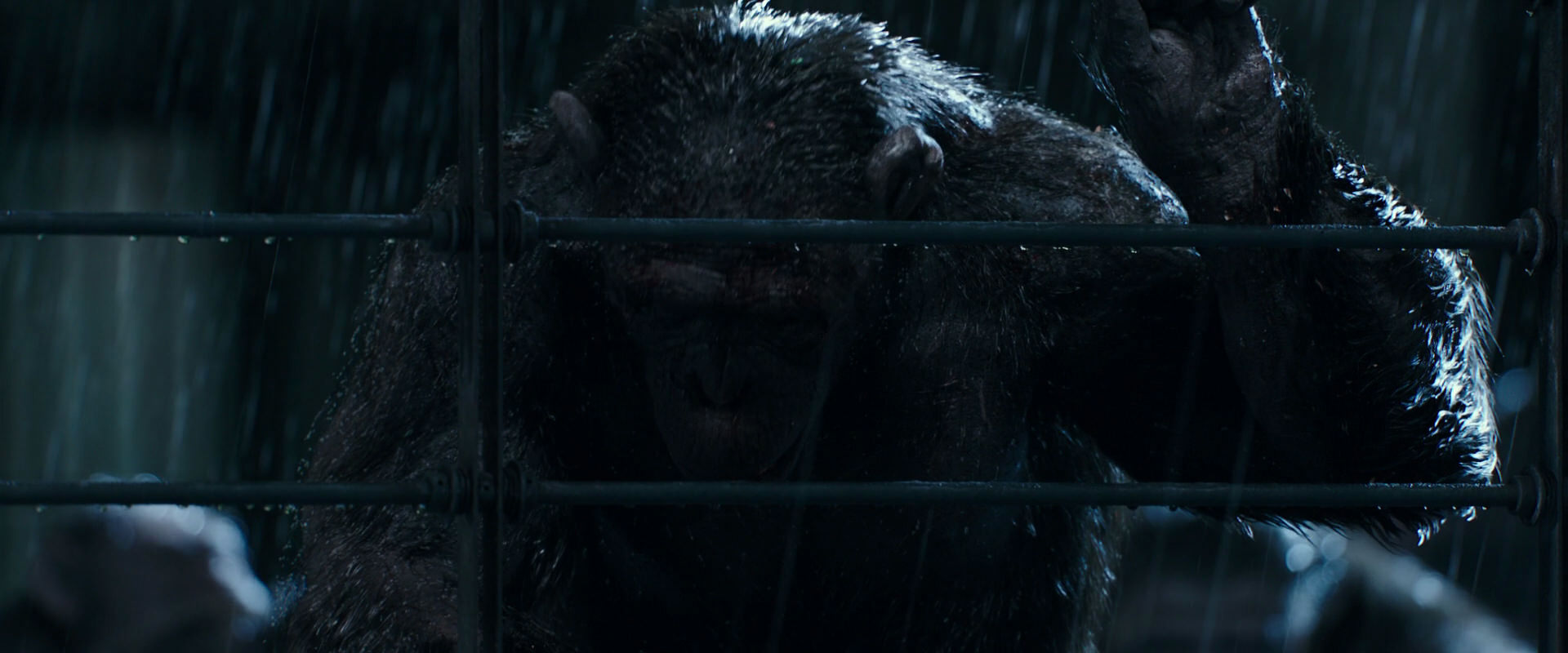 War for the Planet of the Apes (2017) HD screenshot 11411