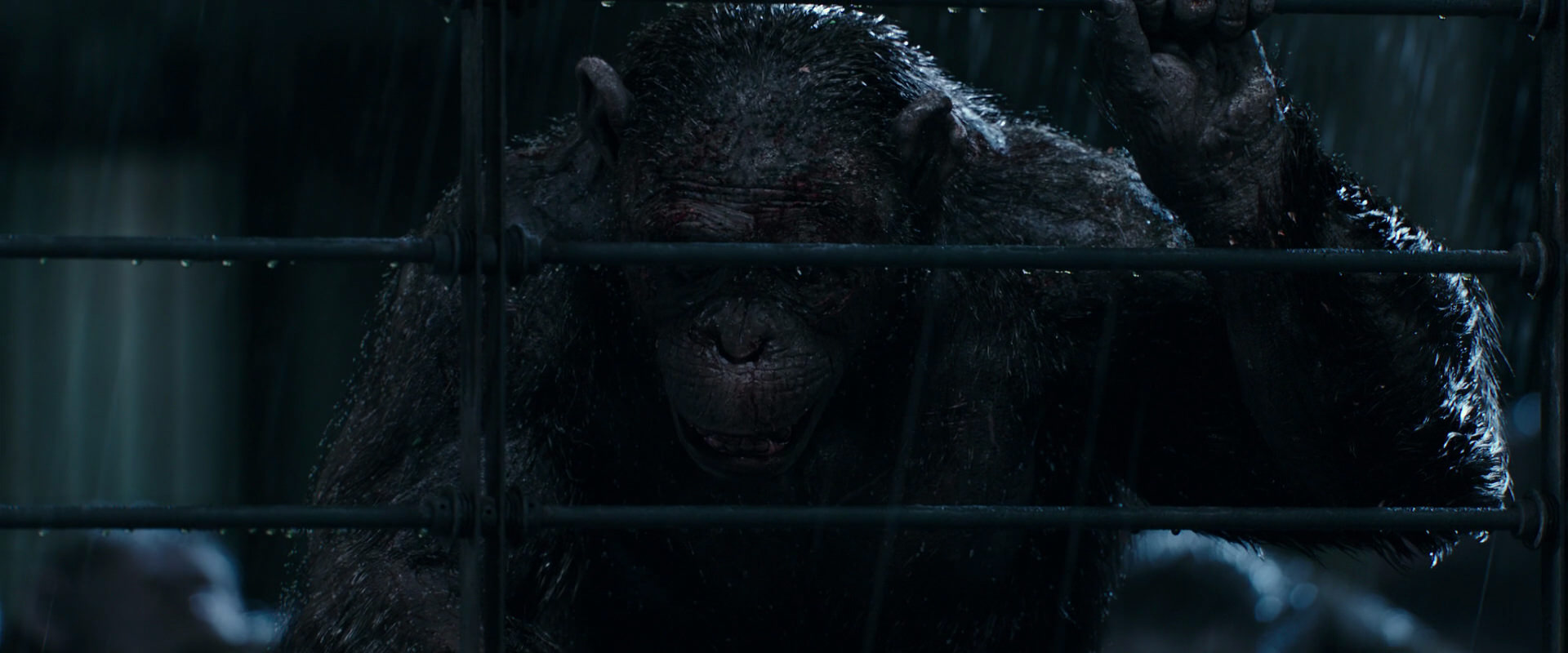 War for the Planet of the Apes (2017) screencap 11412