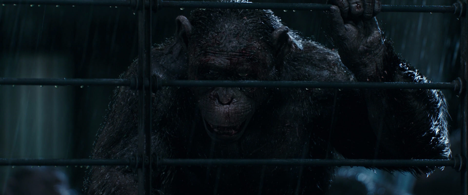 War for the Planet of the Apes (2017) movie still 11413