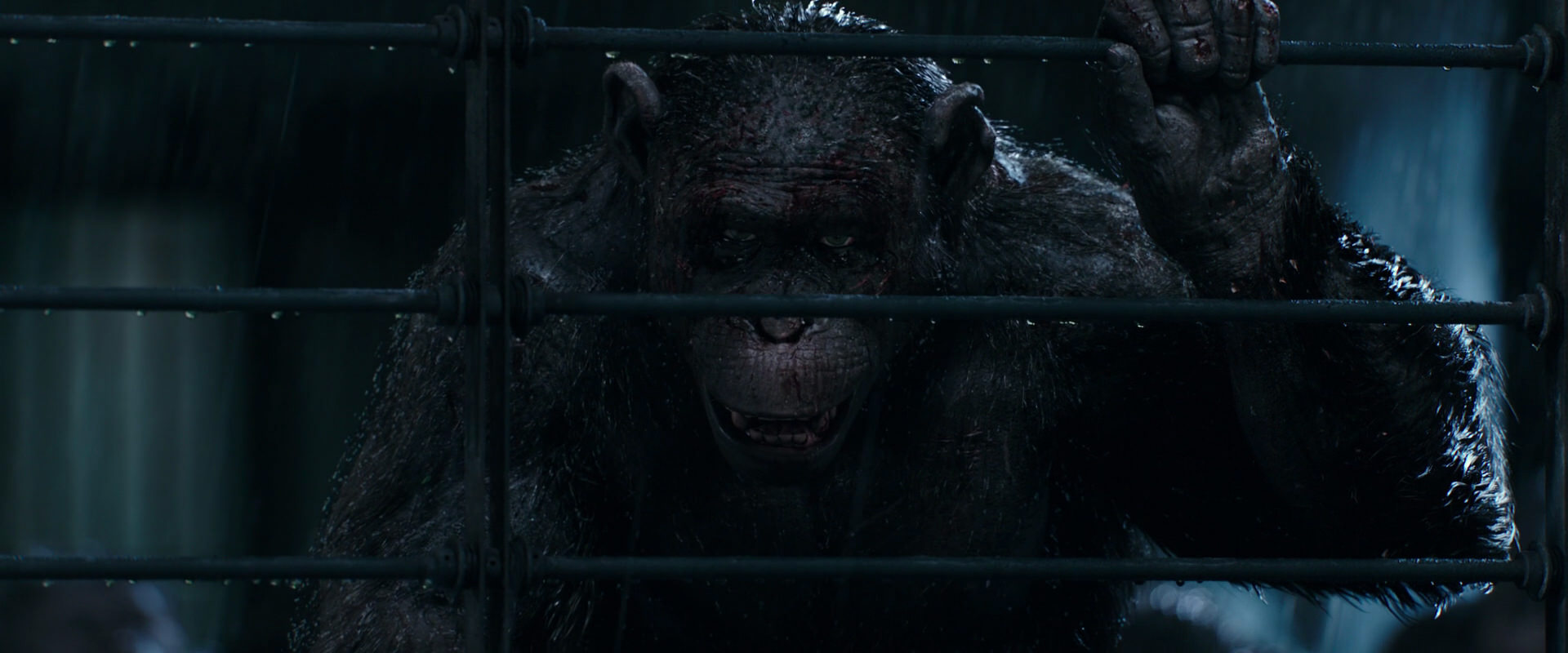 War for the Planet of the Apes (2017) HD screenshot 11414