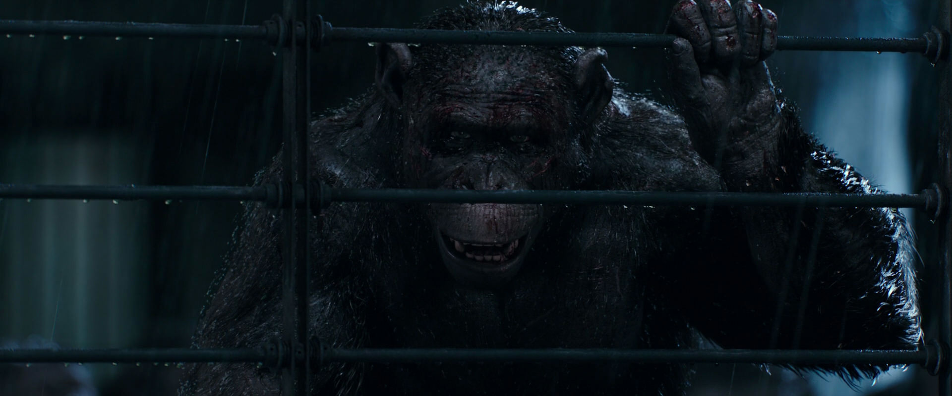 War for the Planet of the Apes (2017) screencap 11415
