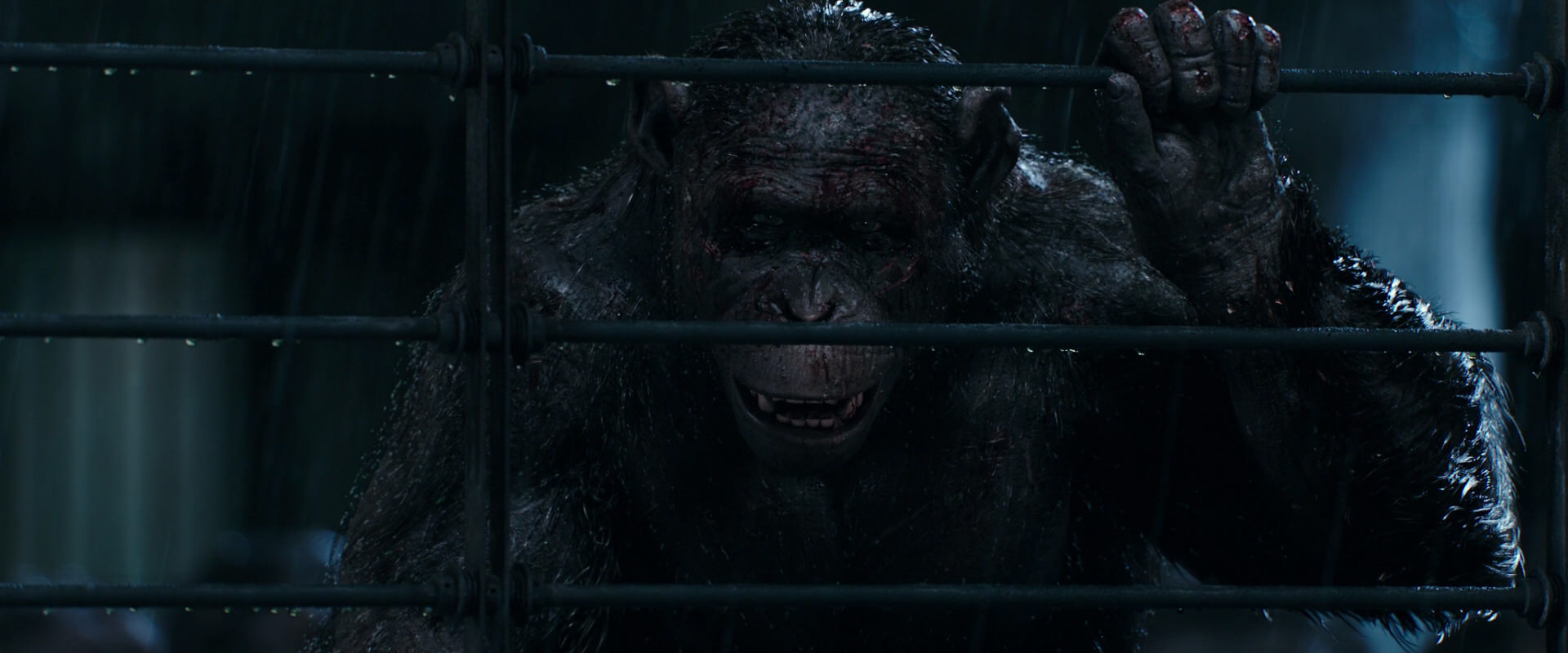 War for the Planet of the Apes (2017) movie still 11416