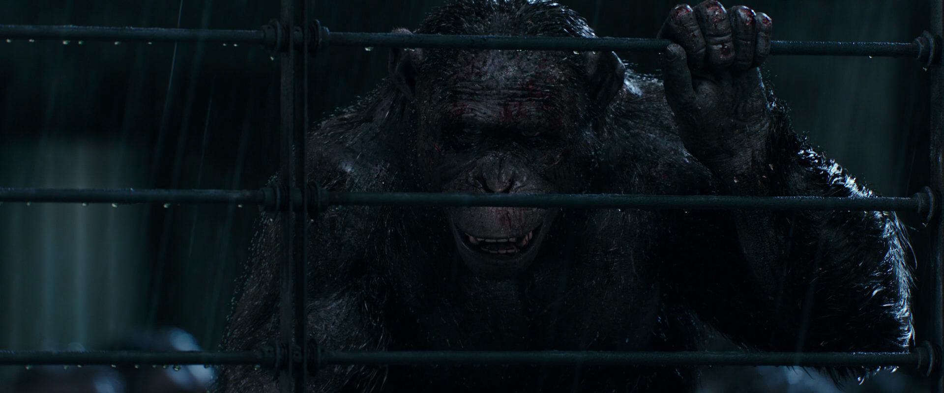 War for the Planet of the Apes (2017) screencap 11418