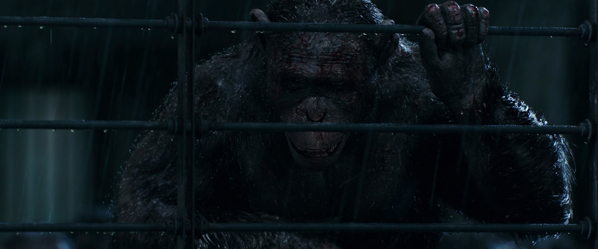 War for the Planet of the Apes (2017) screencap 11421