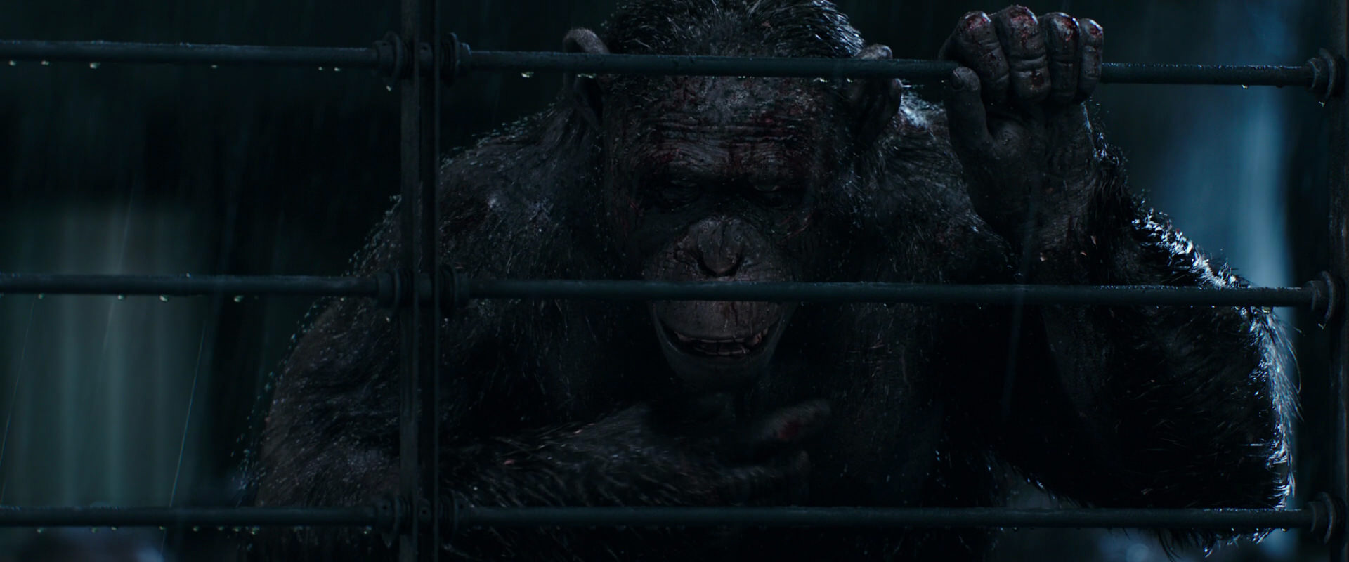 War for the Planet of the Apes (2017) movie still 11422