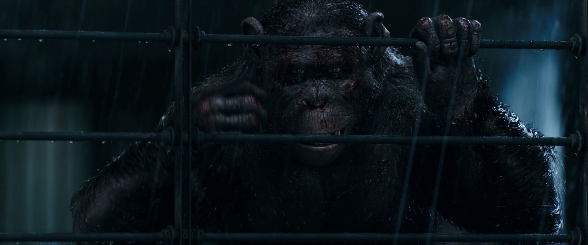 War for the Planet of the Apes (2017) screencap 11424