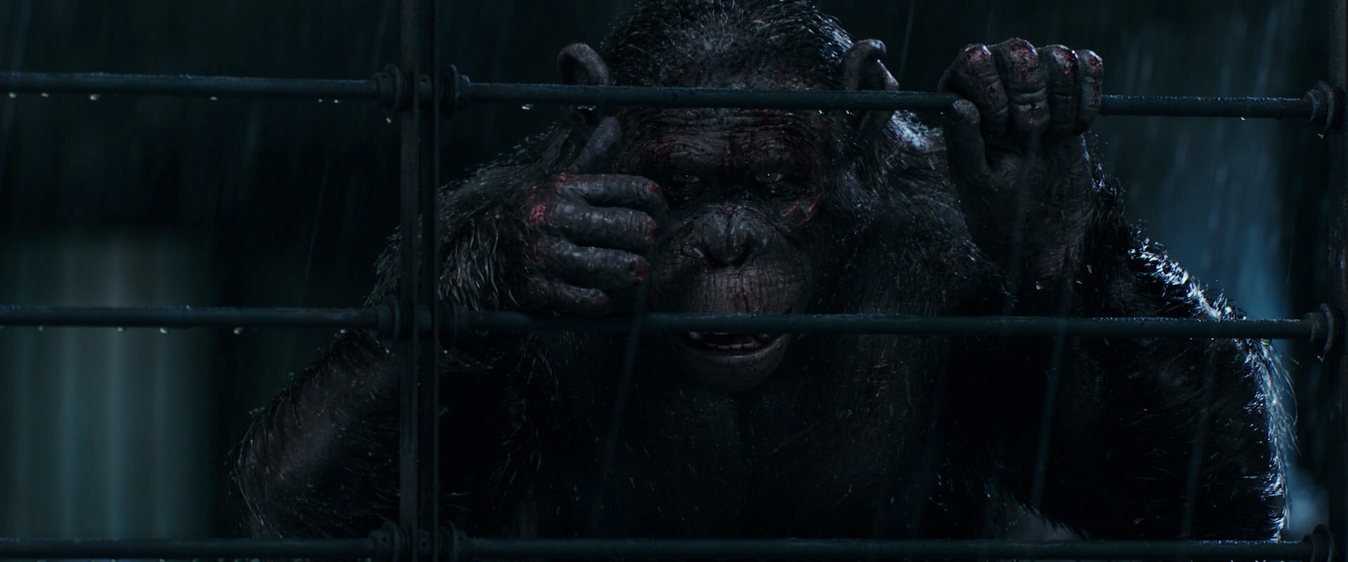 War for the Planet of the Apes (2017) movie still 11425