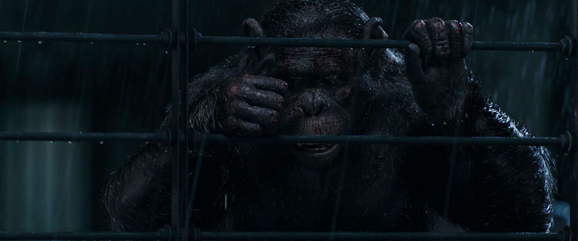 War for the Planet of the Apes (2017) HD screenshot 11426