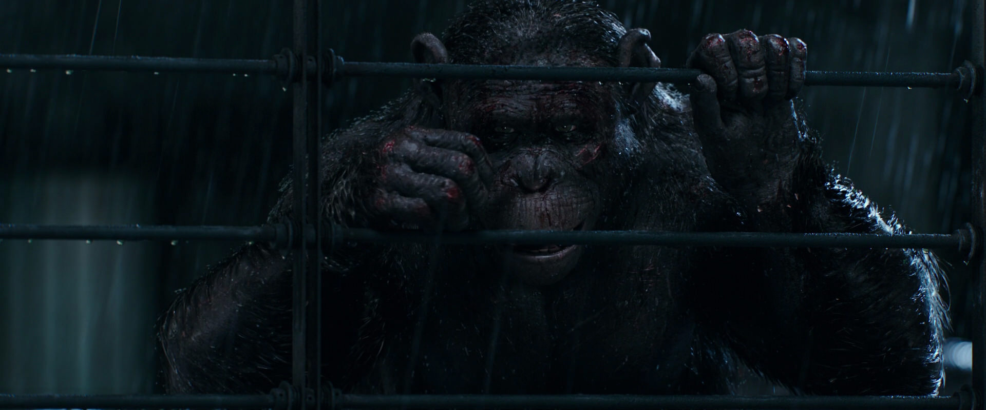War for the Planet of the Apes (2017) screencap 11427