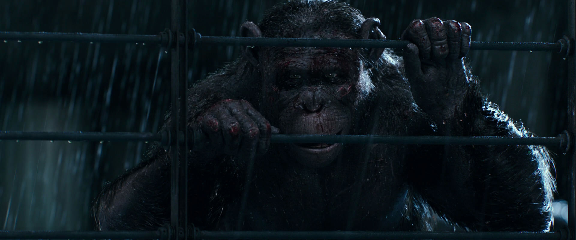 War for the Planet of the Apes (2017) movie still 11428