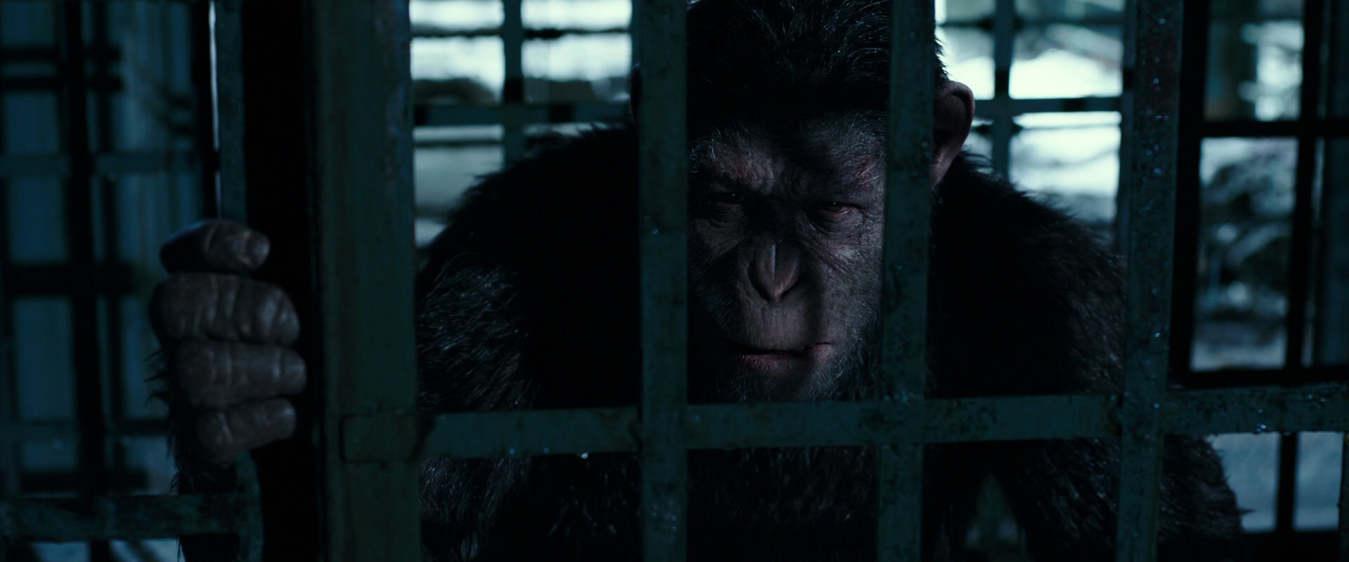 War for the Planet of the Apes (2017) HD screenshot 11429