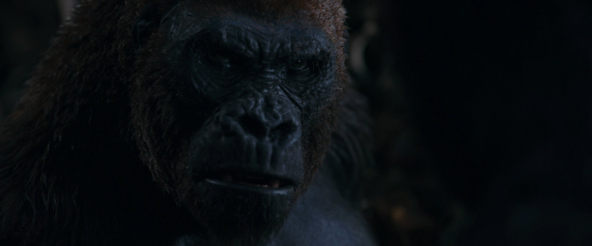 War for the Planet of the Apes (2017) screencap 1143