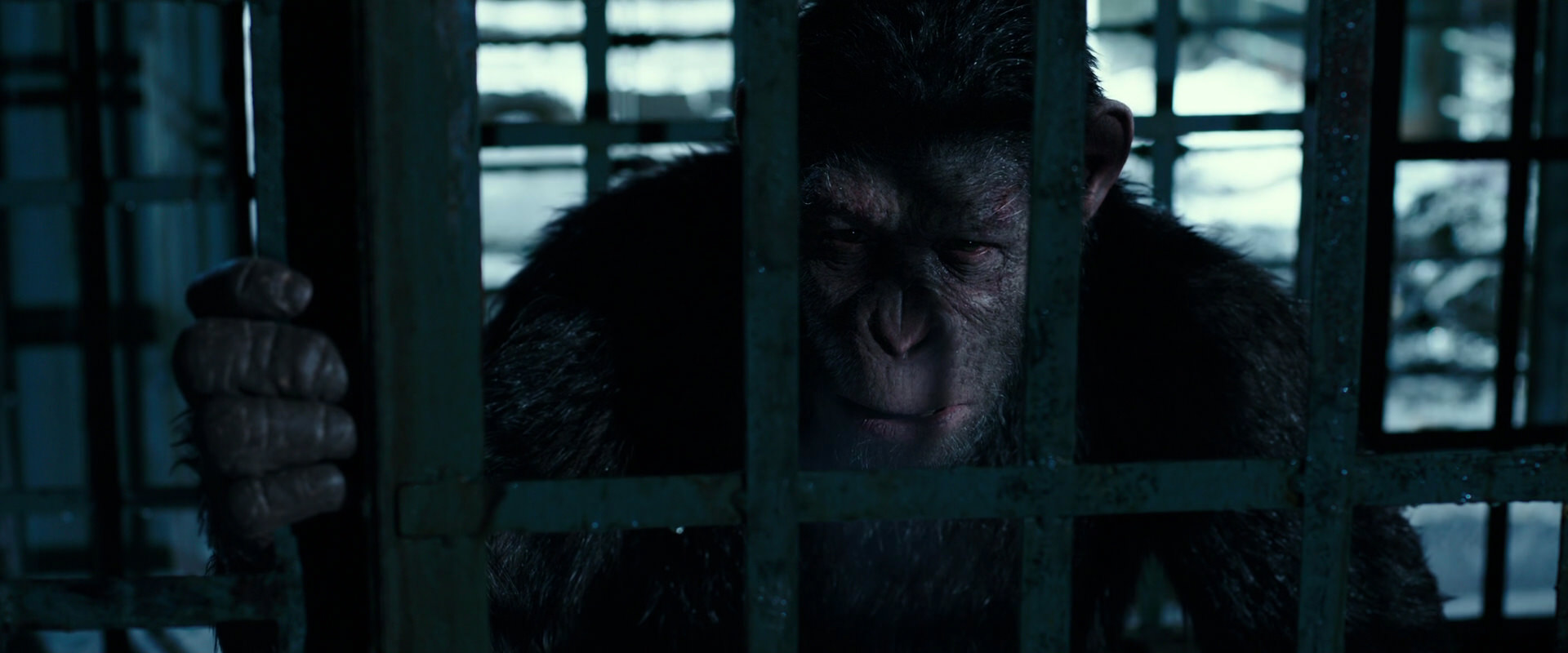 War for the Planet of the Apes (2017) screencap 11430
