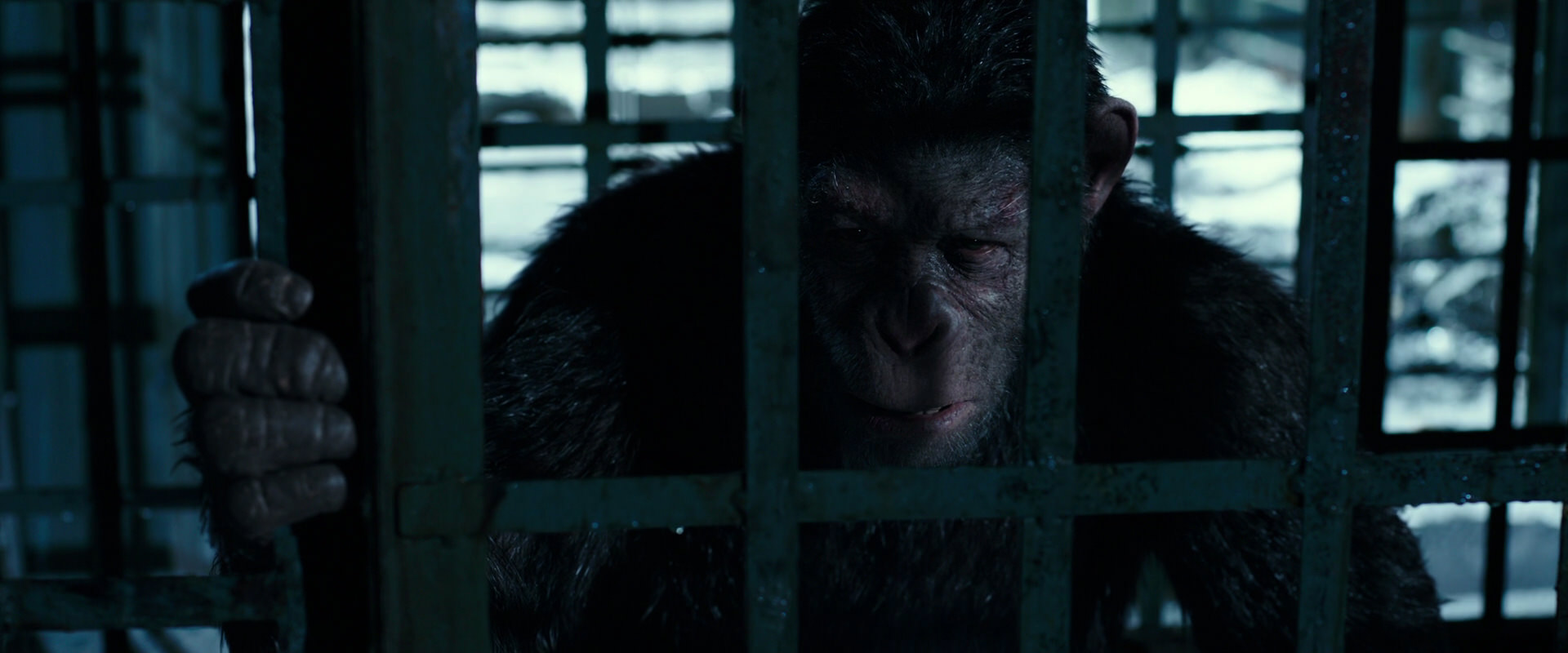 War for the Planet of the Apes (2017) movie still 11431