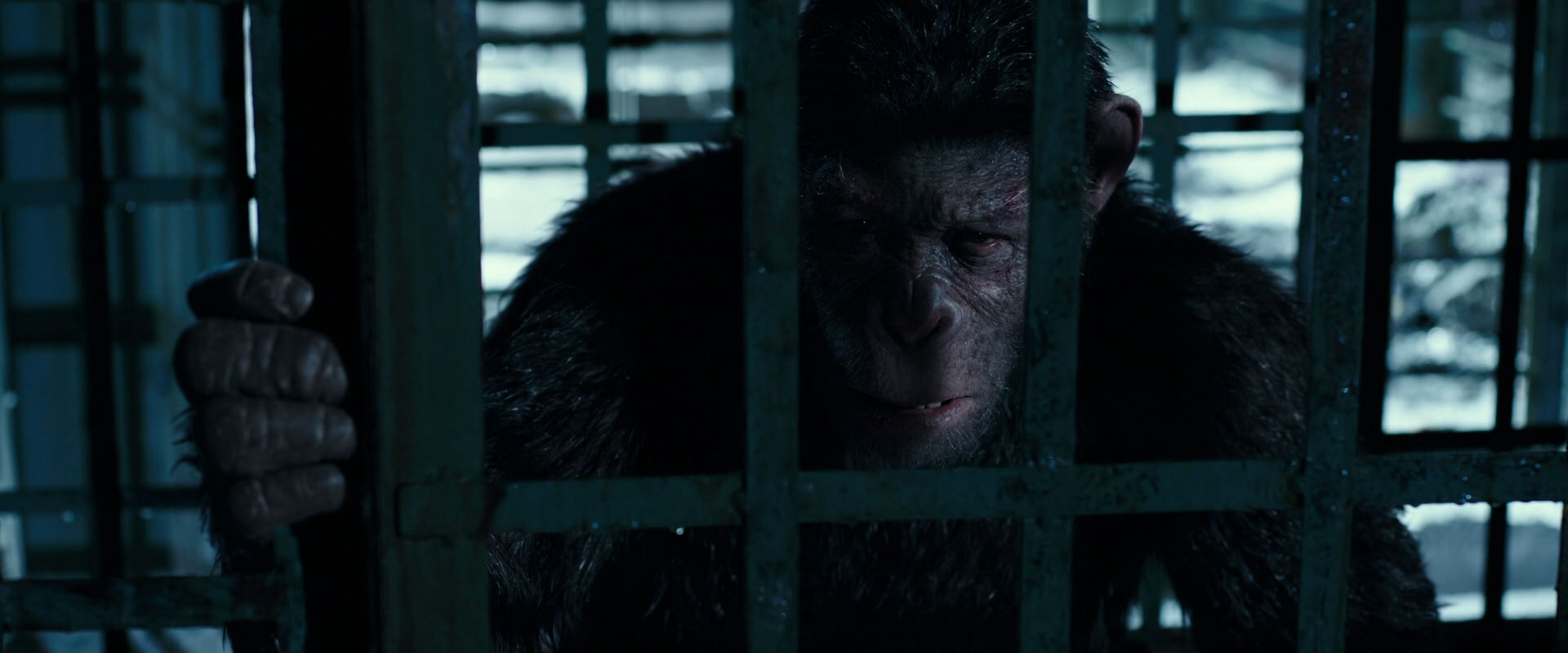 War for the Planet of the Apes (2017) HD screenshot 11432