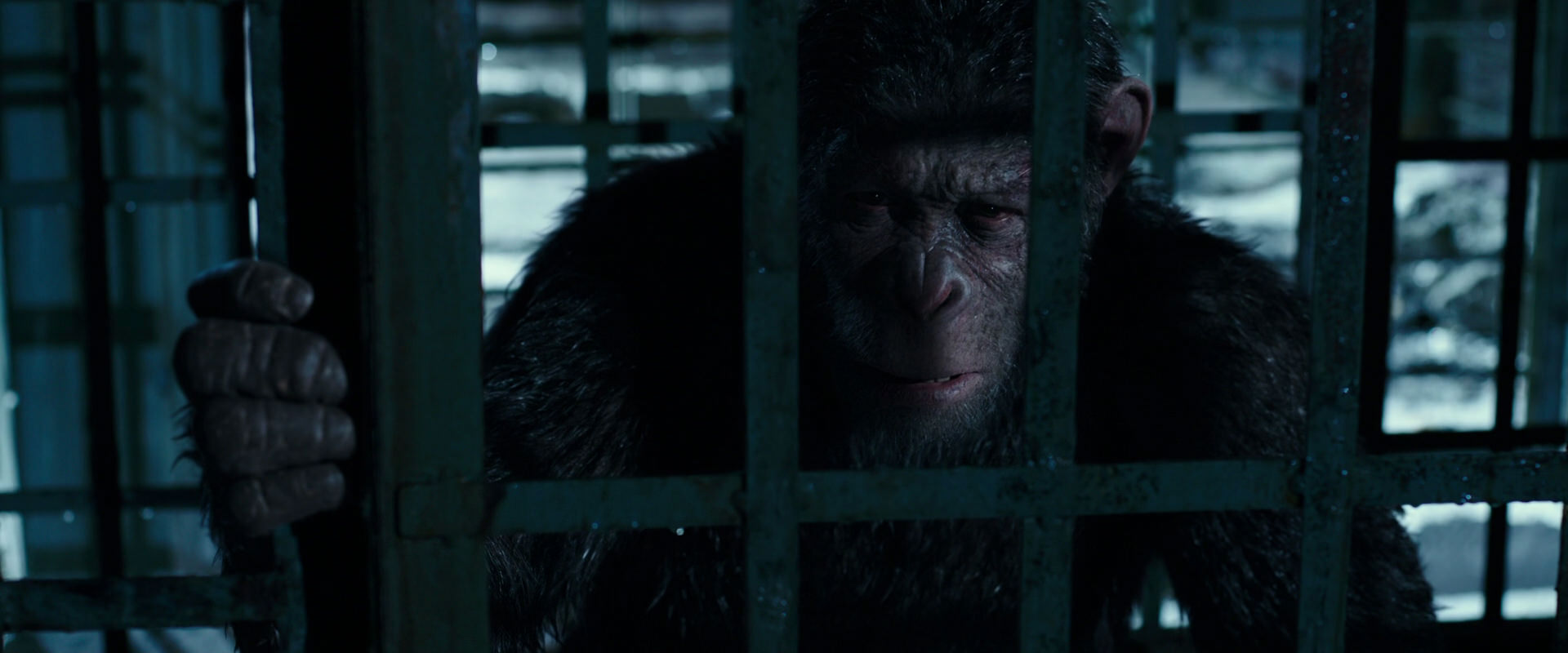 War for the Planet of the Apes (2017) screencap 11433
